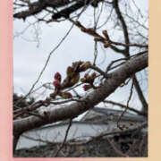 ヒメ日記 2026/03/19 16:41 投稿 なおみ 奥鉄オクテツ大阪