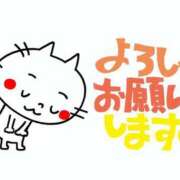 ヒメ日記 2026/04/18 11:35 投稿 なおみ 奥鉄オクテツ大阪