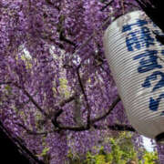 なおみ お疲れ様です♡ 奥鉄オクテツ大阪