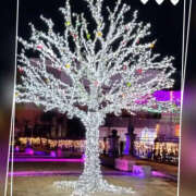 ヒメ日記 2025/02/13 23:34 投稿 なおみ 奥鉄オクテツ奈良