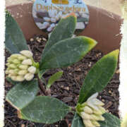 ヒメ日記 2025/03/07 18:29 投稿 なおみ 奥鉄オクテツ奈良