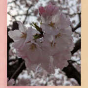 ヒメ日記 2025/04/01 19:14 投稿 なおみ 奥鉄オクテツ奈良