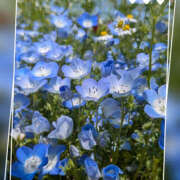 ヒメ日記 2025/04/29 20:25 投稿 なおみ 奥鉄オクテツ奈良