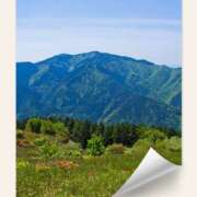 ヒメ日記 2025/05/15 21:57 投稿 なおみ 奥鉄オクテツ奈良