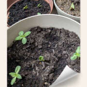 ヒメ日記 2025/05/26 15:19 投稿 なおみ 奥鉄オクテツ奈良