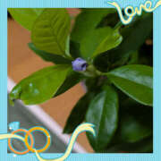 ヒメ日記 2025/05/29 23:32 投稿 なおみ 奥鉄オクテツ奈良