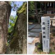 ヒメ日記 2025/08/08 06:08 投稿 なおみ 奥鉄オクテツ奈良