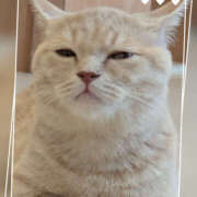 ヒメ日記 2025/08/15 13:30 投稿 なおみ 奥鉄オクテツ奈良