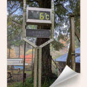 ヒメ日記 2025/11/10 18:42 投稿 なおみ 奥鉄オクテツ奈良