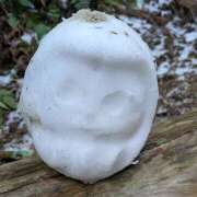 ヒメ日記 2026/01/06 01:07 投稿 なおみ 奥鉄オクテツ奈良