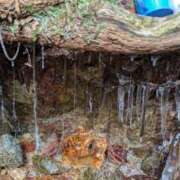 ヒメ日記 2026/01/12 17:30 投稿 なおみ 奥鉄オクテツ奈良