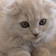 ヒメ日記 2026/01/24 16:08 投稿 なおみ 奥鉄オクテツ奈良