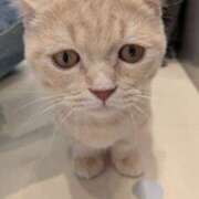 ヒメ日記 2026/02/01 13:35 投稿 なおみ 奥鉄オクテツ奈良