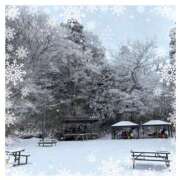 ヒメ日記 2026/02/05 00:50 投稿 なおみ 奥鉄オクテツ奈良