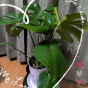 ヒメ日記 2026/02/05 22:27 投稿 なおみ 奥鉄オクテツ奈良