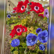 ヒメ日記 2026/03/09 21:17 投稿 なおみ 奥鉄オクテツ奈良