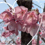 ヒメ日記 2026/03/28 22:02 投稿 なおみ 奥鉄オクテツ奈良