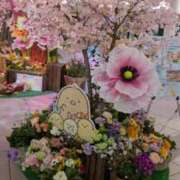 ヒメ日記 2026/04/01 18:49 投稿 なおみ 奥鉄オクテツ奈良