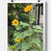 ヒメ日記 2026/08/28 12:38 投稿 なおみ 奥鉄オクテツ奈良