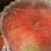 ヒメ日記 2025/08/24 07:39 投稿 ゆうり 熟女の風俗最終章 新潟店