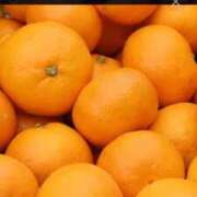 ヒメ日記 2025/12/28 17:34 投稿 ゆうり 熟女の風俗最終章 新潟店