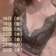 ヒメ日記 2025/04/16 10:17 投稿 小島碧夏 プレジデントハウス