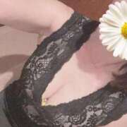 ヒメ日記 2025/09/09 11:54 投稿 小島碧夏 プレジデントハウス