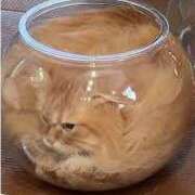 ヒメ日記 2025/03/24 16:28 投稿 りさ 素人妻達☆マイふぇらレディー