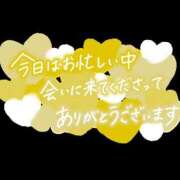 ヒメ日記 2026/07/10 06:41 投稿 塚田もか 華女(かのじょ) 松山店