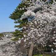 ヒメ日記 2025/04/12 14:33 投稿 ふうわ★顔面＋おっぱい偏差値◎ Fuwa×Fuwaかなざわ。