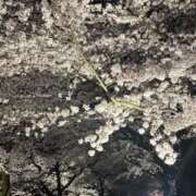 ヒメ日記 2026/04/29 22:03 投稿 ふうわ★顔面＋おっぱい偏差値◎ Fuwa×Fuwaかなざわ。