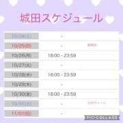 ヒメ日記 2026/10/23 11:00 投稿 城田 ANECOTE