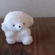 ヒメ日記 2025/04/14 13:40 投稿 りのん Lesson.1福岡校