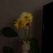 ヒメ日記 2025/09/30 17:30 投稿 りのん Lesson.1福岡校