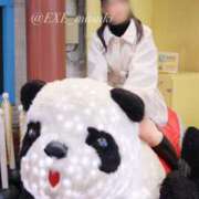 ヒメ日記 2025/03/12 12:00 投稿 みつき EXE（エグゼ）