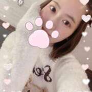 ヒメ日記 2025/04/04 03:57 投稿 真下花帆 多恋人倶楽部