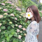 ヒメ日記 2025/06/22 13:17 投稿 真下花帆 多恋人倶楽部