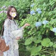 ヒメ日記 2025/07/04 08:40 投稿 真下花帆 多恋人倶楽部