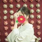 ヒメ日記 2026/01/25 15:26 投稿 真下花帆 多恋人倶楽部