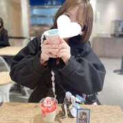 ヒメ日記 2024/12/31 20:30 投稿 うさぎ ラブリップ大宮店