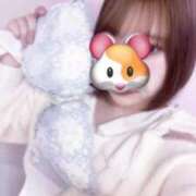 ヒメ日記 2025/01/16 18:31 投稿 うさぎ ラブリップ大宮店