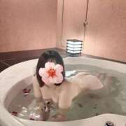 ヒメ日記 2025/09/19 13:30 投稿 うさぎ ラブリップ大宮店