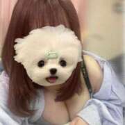 ヒメ日記 2025/01/05 23:20 投稿 うさぎ ラブリップ所沢