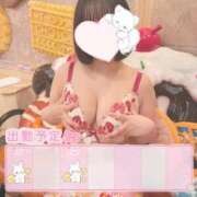 ヒメ日記 2025/01/19 15:20 投稿 うさぎ ラブリップ所沢