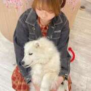 ヒメ日記 2025/04/22 18:40 投稿 うさぎ ラブリップ所沢