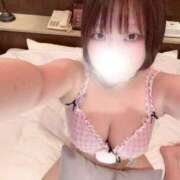 ヒメ日記 2025/07/02 13:50 投稿 うさぎ ラブリップ所沢