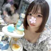 ヒメ日記 2025/09/23 16:30 投稿 うさぎ ラブリップ所沢