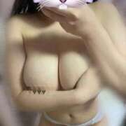 ヒメ日記 2025/10/19 12:37 投稿 うさぎ ラブリップ所沢