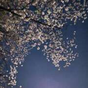 そら 自己紹介！ 贅沢なひと時