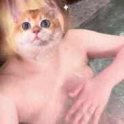 ヒメ日記 2025/02/12 22:50 投稿 うさぎ ラブリップ川越